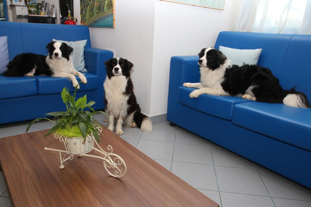 Hotel Marina Roseto Degli Abruzzi Eksteriør bilde